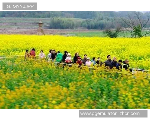 pg电子注册网址是什么-关于PG电子注册网址的详细解读-pg电子注册网址是什么